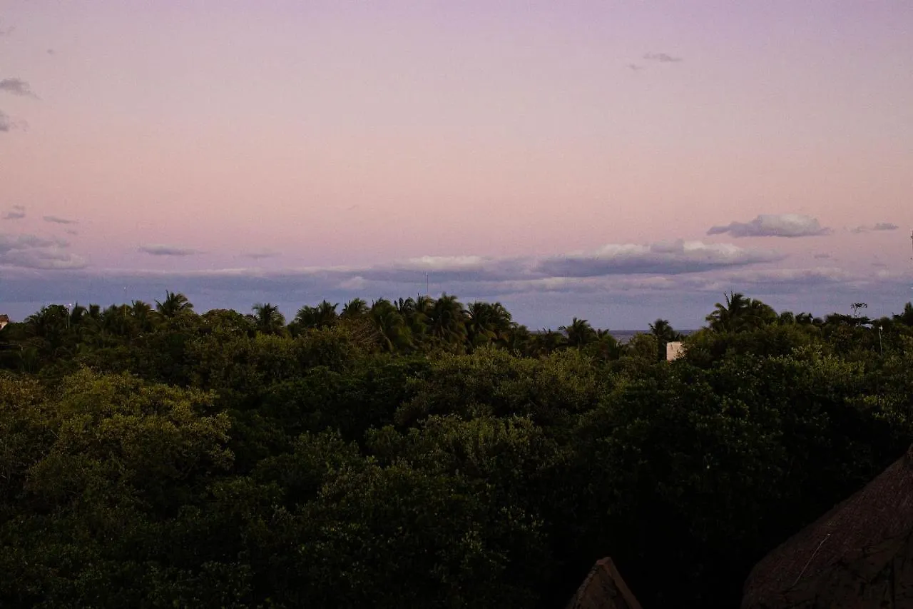 מלון טולום Mamasan Treehouses & Cabins