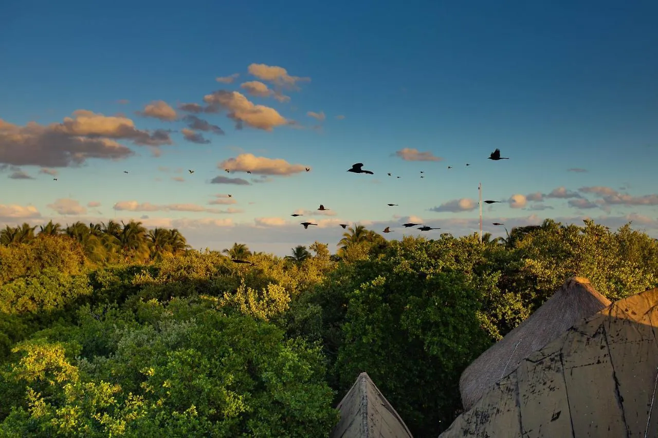טולום Mamasan Treehouses & Cabins 4*,