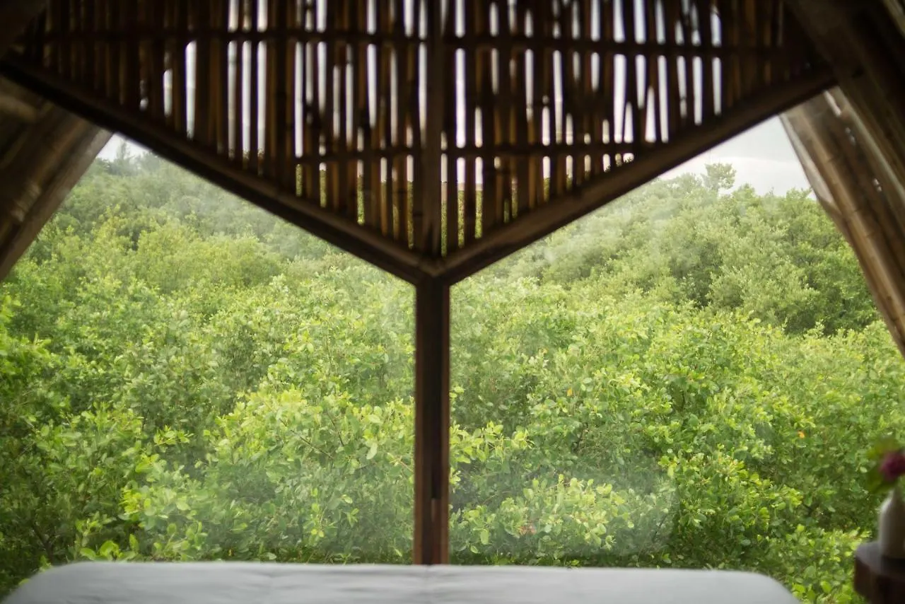 فندق Mamasan Treehouses & Cabins تولوم