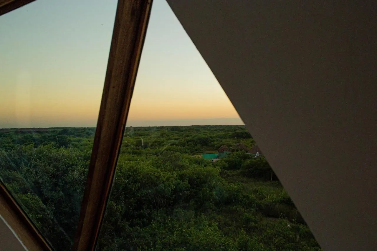 Mamasan Treehouses & Cabins تولوم فندق